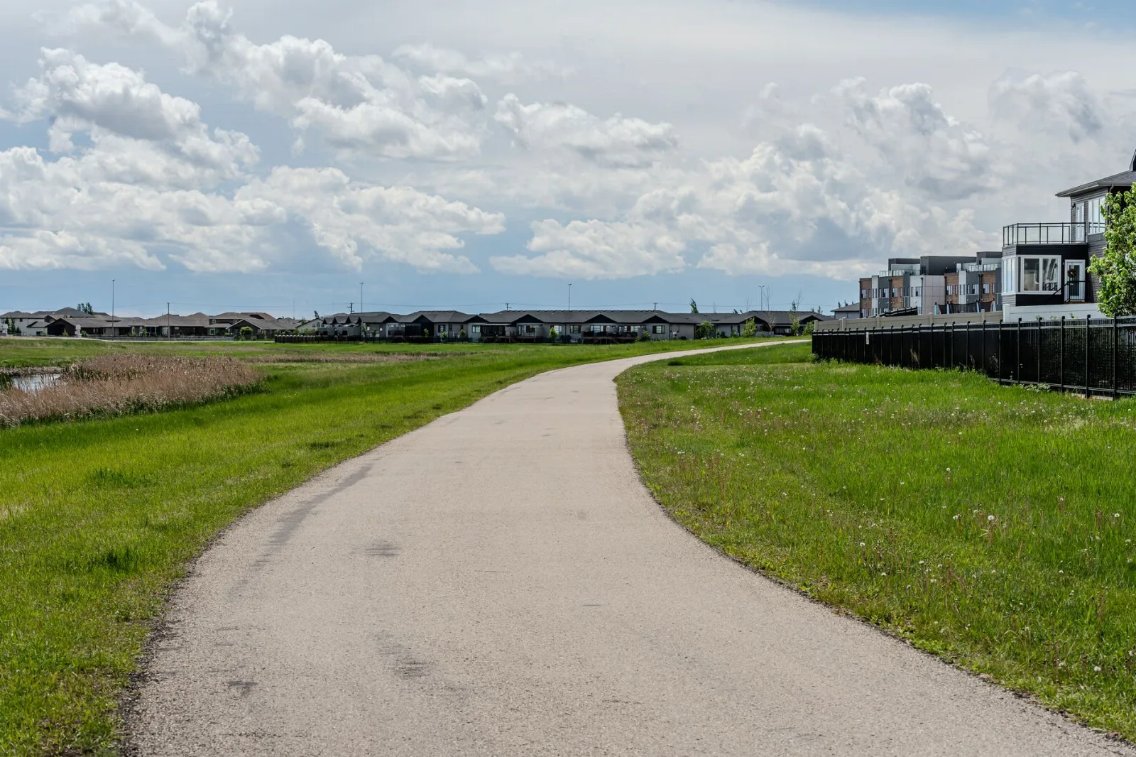 Houses in a suburban neighborhood