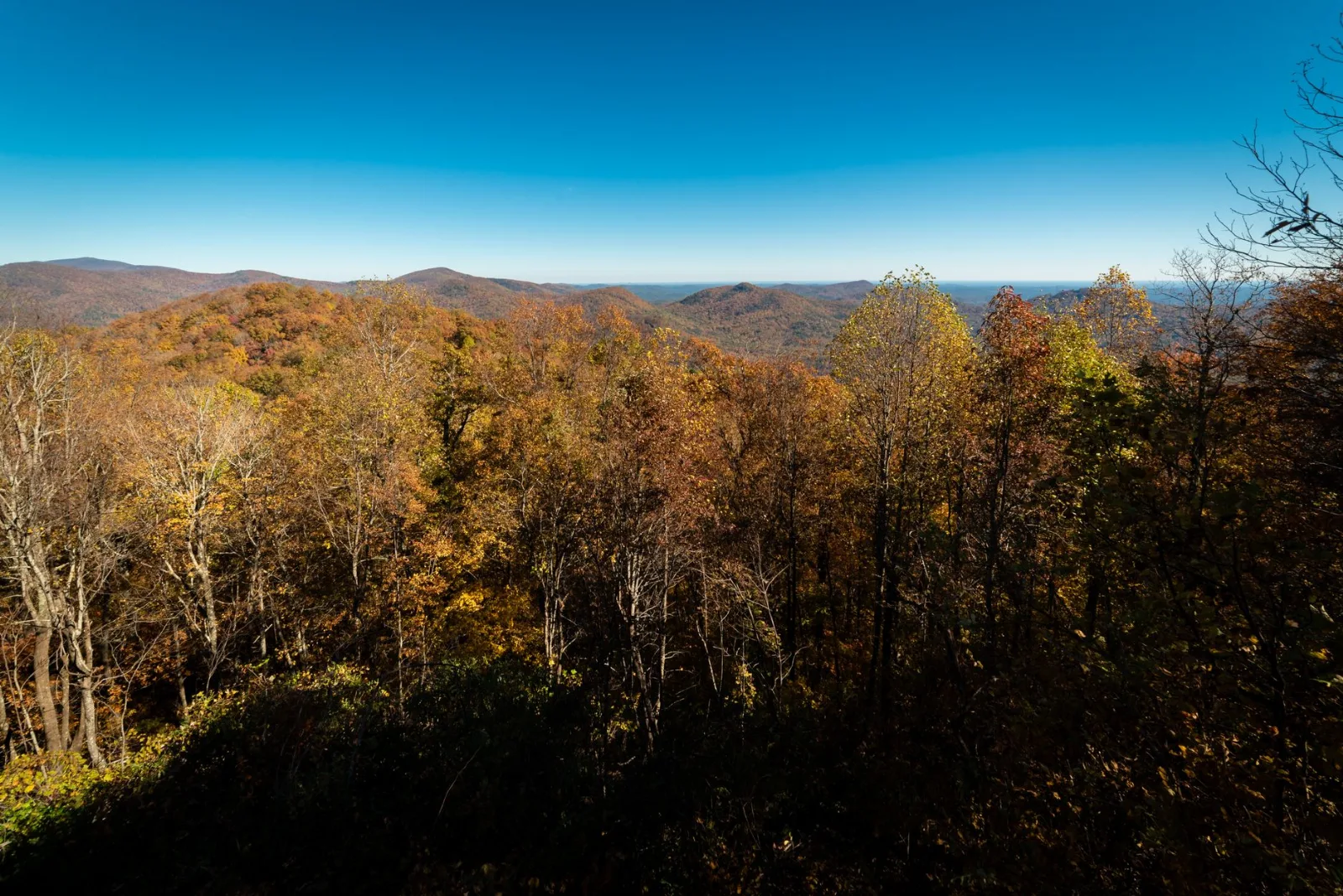 Stunning autumn landscape of vibrant fall foliage in Mountain City, Georgia.